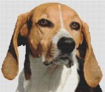 (image for) Foxhound